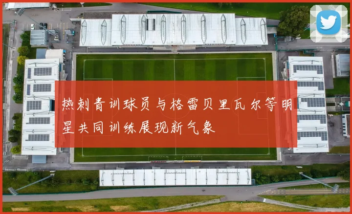 热刺青训球员与格雷贝里瓦尔等明星共同训练展现新气象