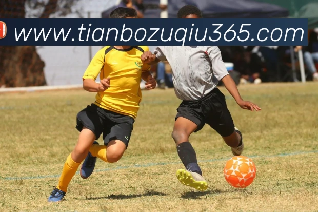 App Interface Preview