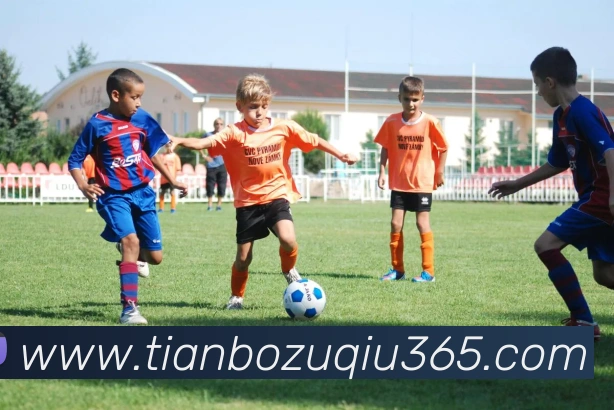 天博体育APP 封面图